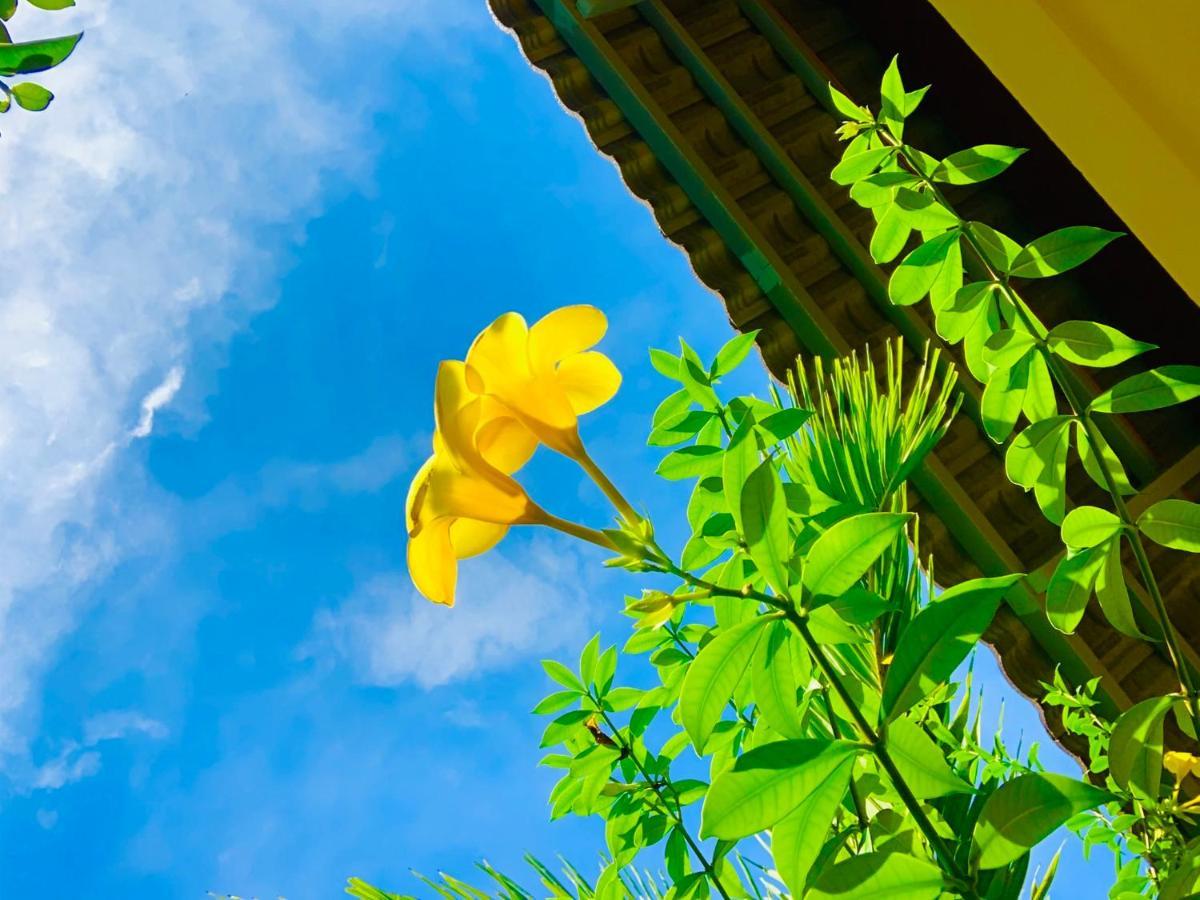 Canary Bungalow ฟู้โกว๊ก ภายนอก รูปภาพ