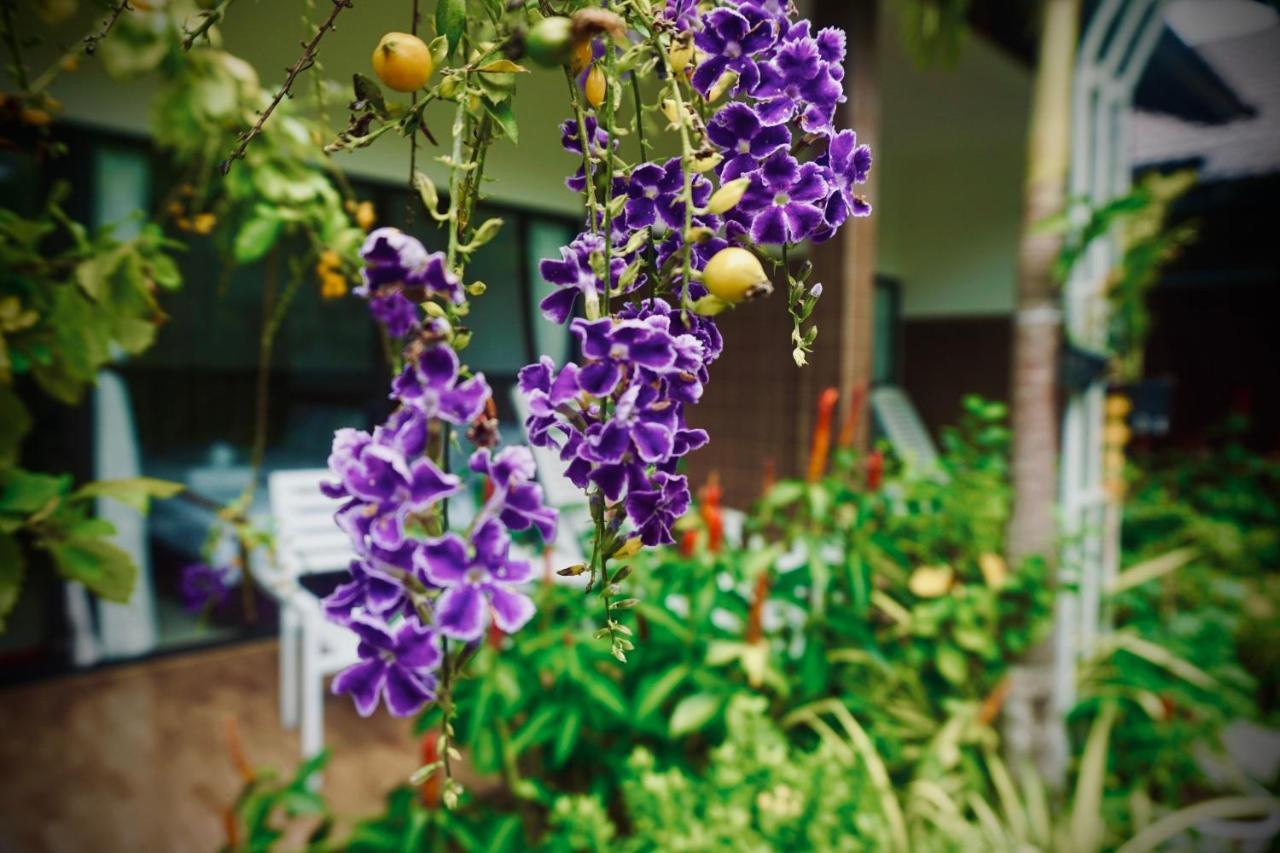 Canary Bungalow ฟู้โกว๊ก ภายนอก รูปภาพ